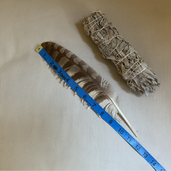 Abalone Shell Bowl + Sage Smudge Stick + Feather *3 Piece Set - Picture 2 of 9